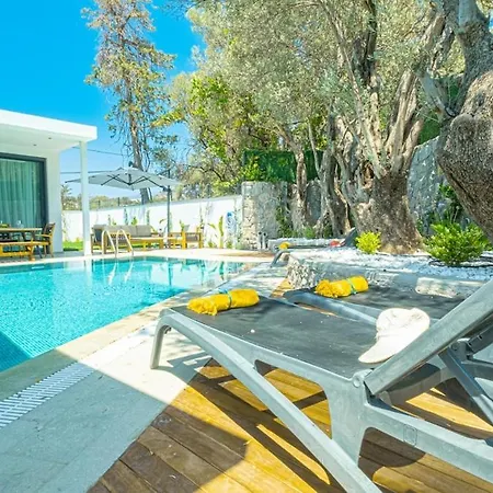 Willa Juliet Yalikavak Private Pool Bodrum
